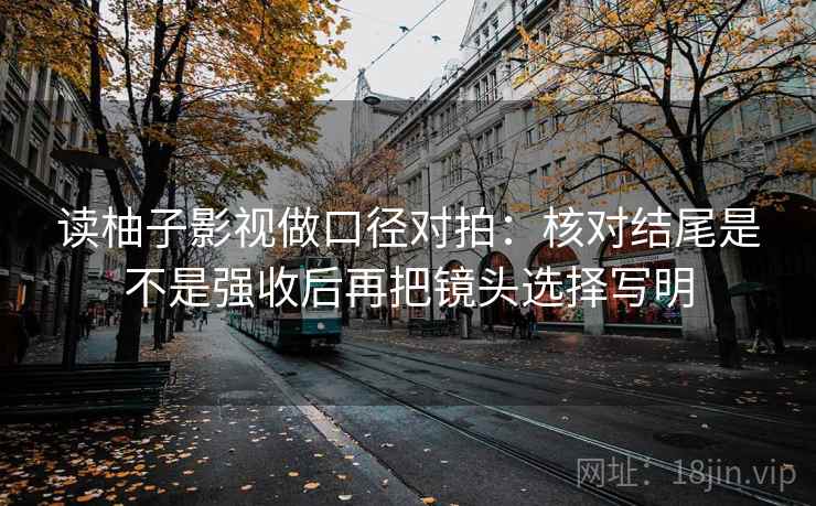 读柚子影视做口径对拍:核对结尾是不是强收后再把镜头选择写明 第2张 读柚子影视做口径对拍:核对结尾是不是强收后再把镜头选择写明 第2张